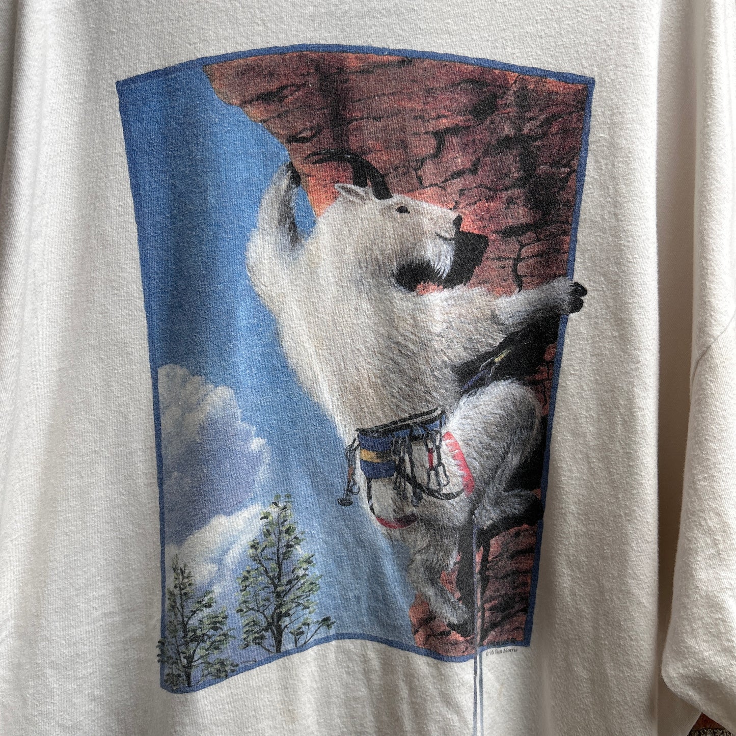 1996 Rock Climbing Tee